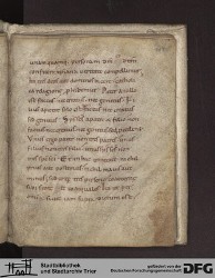 Blatt 196r