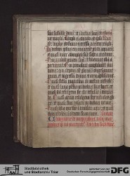 Blatt 115v