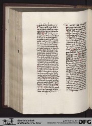Blatt 196v