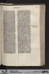 Blatt 229r