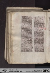 Blatt 135v