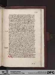 Blatt 245r