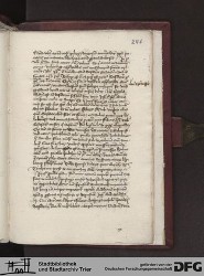 Blatt 246r