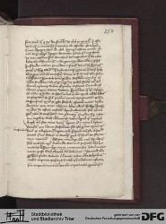 Blatt 254r