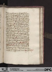 Blatt 229r