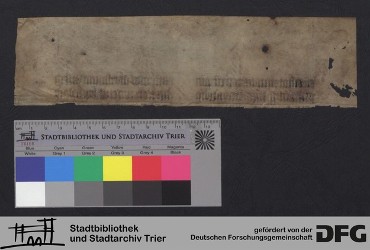 Herausgetrenntes Fragment IVr