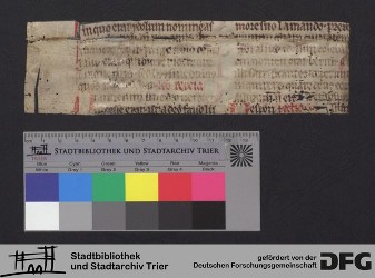 Herausgetrenntes Fragment Iv