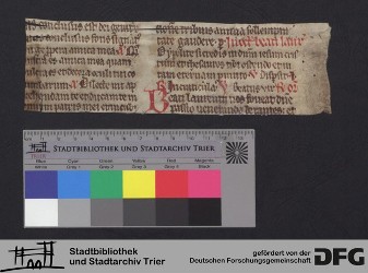 Herausgetrenntes Fragment IIr