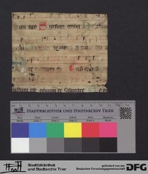 Herausgetrenntes Fragment IIv