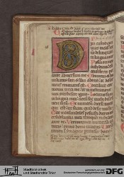 Blatt 24v