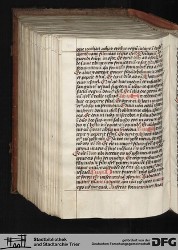 Blatt 391v