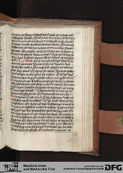 Blatt 393r