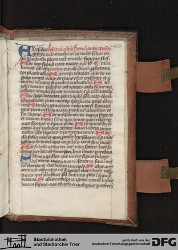 Blatt 455r