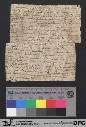 Herausgetrenntes Fragment VIr