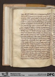 Blatt 119v