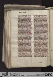 Blatt 135v