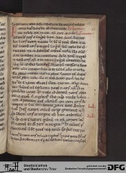 Blatt 113r