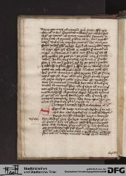 Blatt 12v mit Fragment