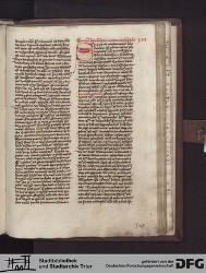 Blatt 307r