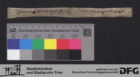 Herausgetrenntes Fragment VIIIv