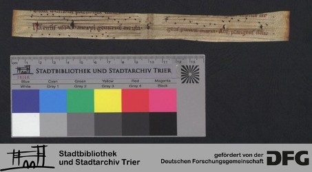 Herausgetrenntes Fragment Xr