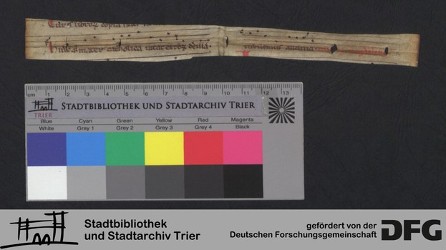 Herausgetrenntes Fragment XIr