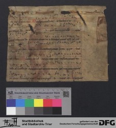 Herausgetrenntes Fragment Iv