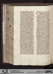 Blatt 142v