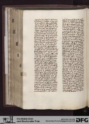 Blatt 146v