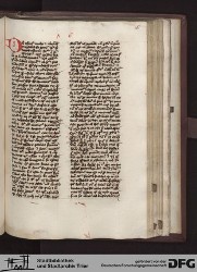 Blatt 161r