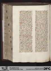 Blatt 175v