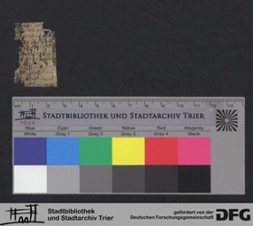 Herausgetrenntes Fragment