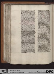 Blatt 145v
