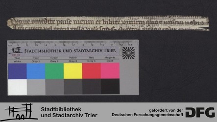 Herausgelöstes Fragment Xr