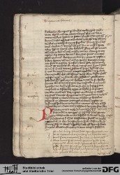 Blatt 11v