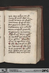 Blatt 166r