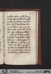 Blatt 217r