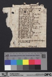 Herausgelöstes Fragment Xv