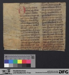 Herausgetrenntes Fragment