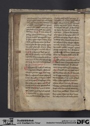 Blatt 41v