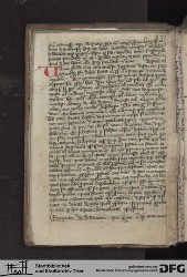 Blatt 12v mit Fragment