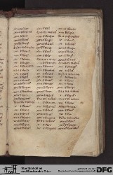 Blatt 19r