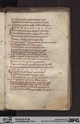 Blatt 41r
