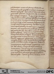 Blatt 205v