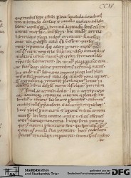 Blatt 215r