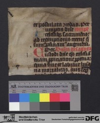 Herausgetrenntes Fragment