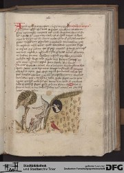 Blatt 45r