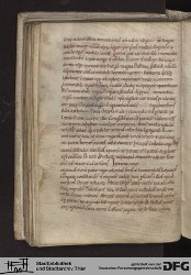 Blatt 41v
