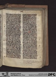 Blatt 113r