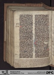 Blatt 244v
